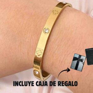 Brazalete Cartier Love Plano